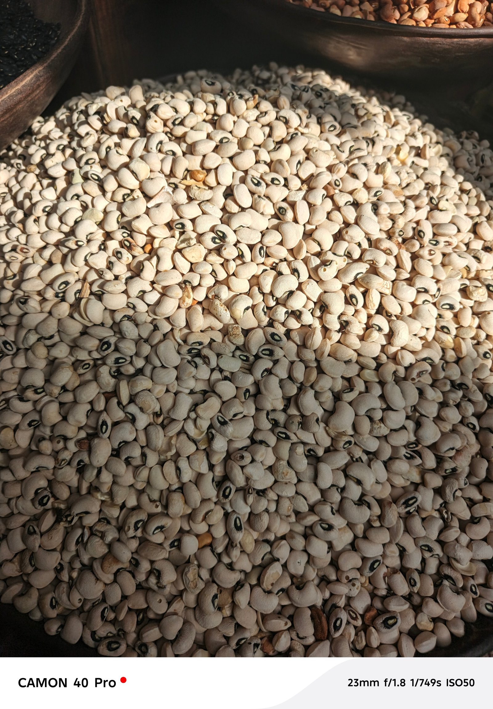 Iron beans one bag