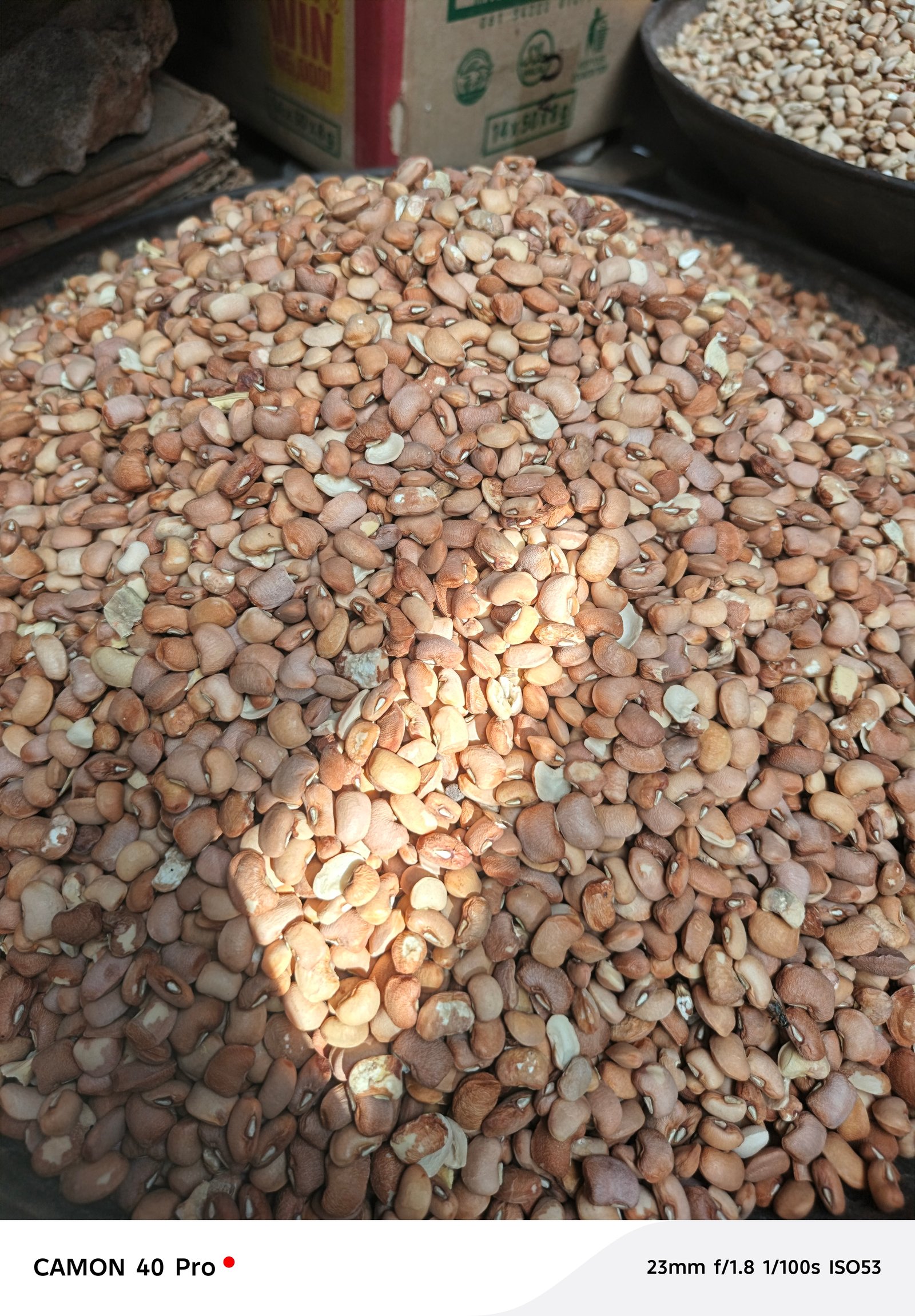 Brown beans one bag