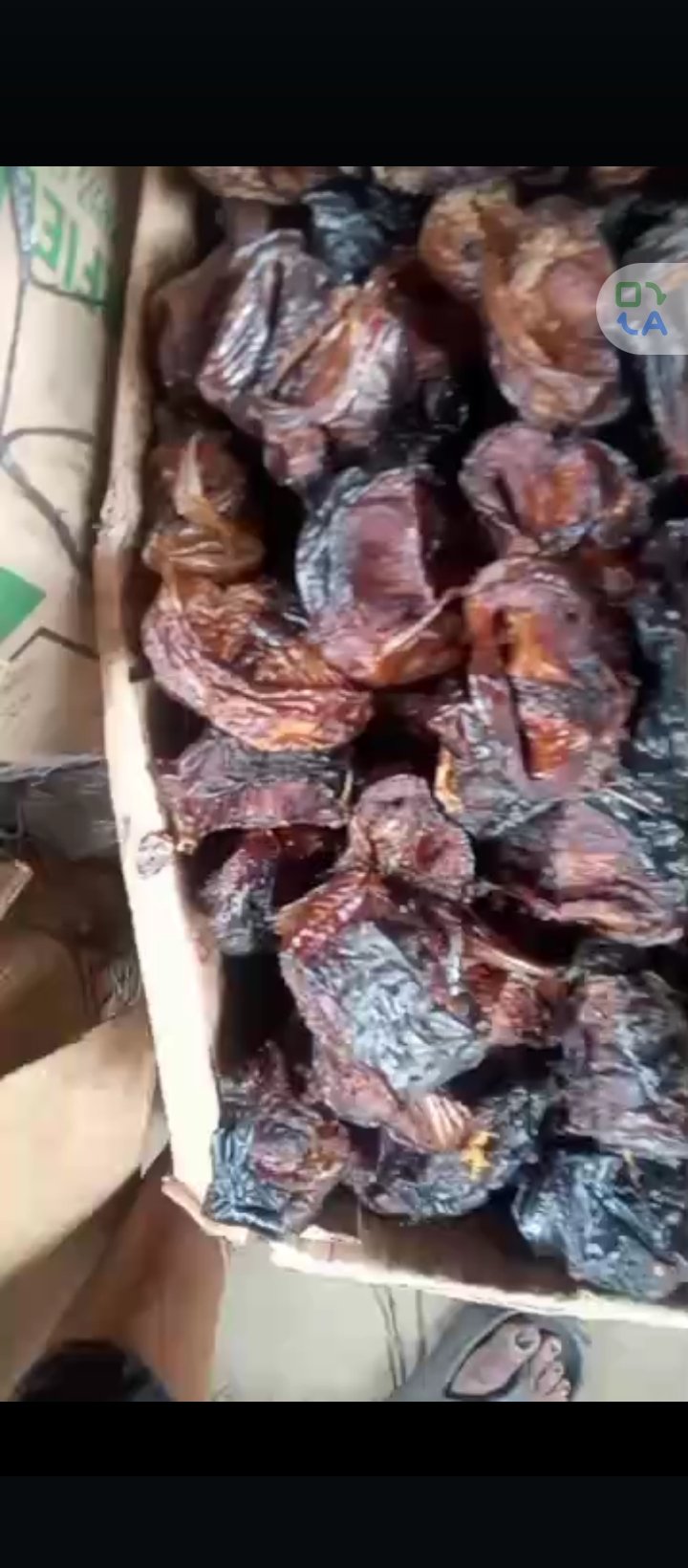 Mangara azu onicha