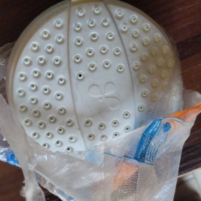 ¹½ plastic shower rose