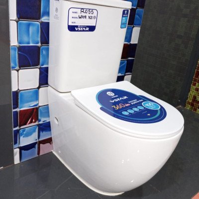 Executive toilet seat 