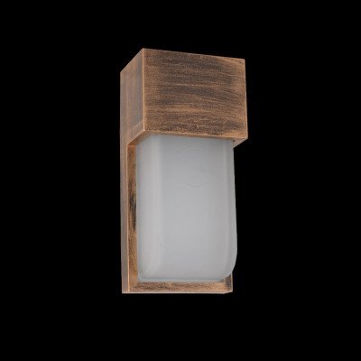 Outdoor light 